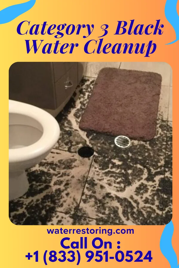 Category 3 Black Water Cleanup in Dennis Acres, MO